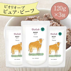 _500~N[|^ L t[h EFbg w} r[t (120g×3Zbg)  Lbgt[h gg gbsO Lp Y I[KjbN S S ˂ t[h VjA ps[ A_g H