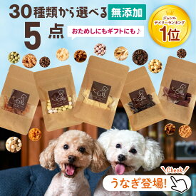 送料無料 30種から選べる5種類食べくらべセット | 犬 おやつ 無添加 国産 詰め合わせ お試し さつまいも 馬肉 魚 ふりかけ ボーロ チーズ 鹿肉 クッキー ラッピング ギフト ささみ 無添加おやつ 犬用 老犬 チップ ジャーキー 高級