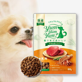 【店内2点以上でP最大10倍★要エントリ】 Yum Yum Yum ! ヤムヤムヤム 馬肉 やわらかドライタイプ (80g) ちょこっとパック 犬 犬用 ドッグフード ドライフード ペットフード 小粒 国産 無添加 犬 成犬用 老犬用 シニア犬 子犬用