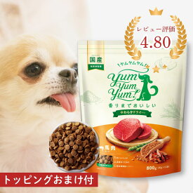 ヤムヤムヤム ドックフード 馬肉 やわらかドライタイプ 800g (80g×10) Yum Yum Yum ! 犬 犬用 ドッグフード ドライフード ペットフード 小粒 国産 無添加 犬 成犬用 老犬用 シニア犬