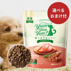 ヤムヤムヤム ドックフード チキン やわらかドライタイプ 800g ( 80g ×10) 犬 犬用 ドッグフード ドライフード ペットフード 小粒 国産 無添加 犬 成犬用 老犬用 シニア Yum Yum Yum! ドッグフード 鶏肉