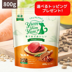 hbNt[h n 炩hC^Cv 800g (80g×10) Yum Yum Yum !  p hbOt[h hCt[h ybgt[h  Y Y  p Vp VjA