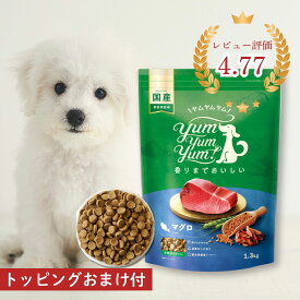 ＼エントリ＆2点購入P5倍 3点以上でP10倍／ ヤムヤムヤム マグロ ドライタイプ 1.3kg ヤムヤムヤム ドックフード ヤムヤム ドックフード 犬 ドックフード 無添加 国産 魚 食いつき 小粒 yumyumyum 犬用 ドライフード 超小型犬 小