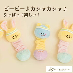 _Gg2_wP5{ 3_ȏP10{^   m[Y[N _x s[s[  ^  XgX V lC Ȃ ʂ