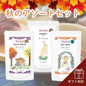 ＼エントリ＆2点購入P5倍 3点以上でP10倍／ 犬 ウエットフード ビオリオーブ ハロウィン 秋のアソートセット (120g×3個) ベニソン グース ラビット 鹿肉 ヘルマン ドックフード 犬 トッピング 犬 ごはん トッピング 犬 ドックフード