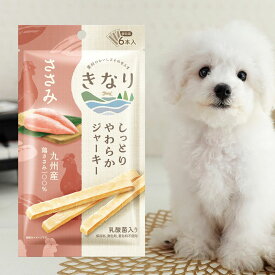 犬 おやつ 無添加 国産 | きなり しっとりやわらかジャーキー ささみ 6本 | 犬 ジャーキー 無添加 鶏ささみ ササミ 犬用オヤツ ドッグフード パウチ トッピング レトルト 食いつき 老犬 小型犬 超小型犬 犬 おやつ ささみ