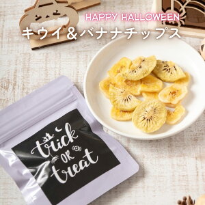  nEB | LECoii`bvX |   Y p g[chbOt[h   pt[c oii LEC H p oii LEC XibN hCt