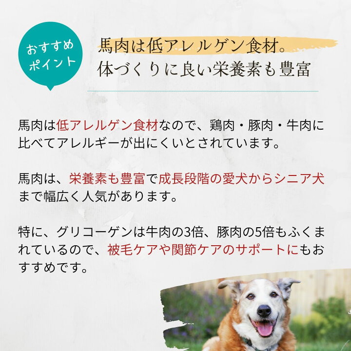 楽天市場 マラソン限定100円クーポン発行中 犬 おやつ 無添加 薄切り たっぷりサイズ 馬肉ジャーキー 40g 5袋 犬用 おやつ トリーツ 無添加 馬 犬 毛艶 高タンパク 低脂肪 わたしいぬ わたしいぬ わたしねこ
