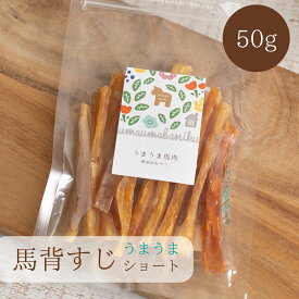 ＼ポイント最大5倍+150円クーポン／ 犬 おやつ 無添加 馬背すじ スティック Sサイズ (50g) 犬おやつ ガム ジャーキー アキレス腱 馬アキレス ショート 歯磨き ガム デンタルケア 満腹感サポートドックフード 固い 硬い 馬 アキレスロング