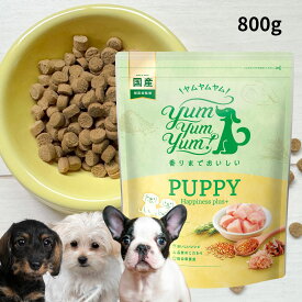 ＼数量限定3個おまけ付／ Yum Yum Yum! ヤムヤムヤム パピー Happiness plus＋ 800g 800g×2袋 ちょこっとパック 犬 犬用 ドッグフード ドライフード ペットフード 小粒 国産 無添加 犬 仔犬 子犬 パピー