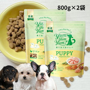  hbNt[h ps[ Happiness plus{ 800g 800g×2   hbNt[h Y Y { H  yumyumyum hCt[h ^ ^ q e