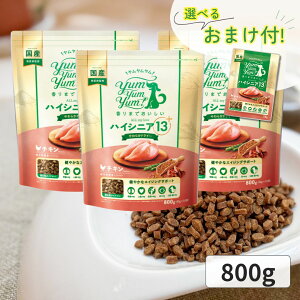 ヤムヤムヤム ドックフード ハイシニア 13+ チキン やわらかドライタイプ 800g ヤムヤムヤム シニア 犬 ドックフード 無添加 国産 鶏肉 食いつき 小粒 yumyumyum ドライフード 超小型犬 小型犬 成