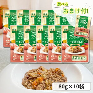 ヤムヤムヤム ドックフード ハイシニア 13+ チキン ウエットタイプ 80g ヤムヤムヤム シニア 犬 ドックフード 無添加 国産 鶏肉 食いつき 小粒 yumyumyum ウエットフード 超小型犬 小型犬 成犬用
