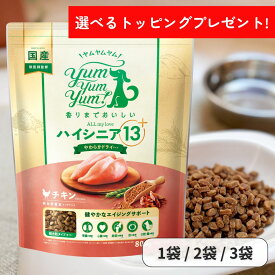 ヤムヤムヤム ドックフード ハイシニア 13+ チキン やわらかドライタイプ 800g ヤムヤムヤム シニア 犬 ドックフード 無添加 国産 鶏肉 食いつき 小粒 yumyumyum ドライフード 超小型犬 小型犬 成犬用 老犬 高齢犬 栄養サポート シニア犬用 総合栄養食