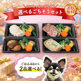 犬用 選べる ごちそうごはん 2品セット【送料無料】オードブル4種から2品 犬用 手作りごはん 国産 冷凍｜ドッグデリファクトリー