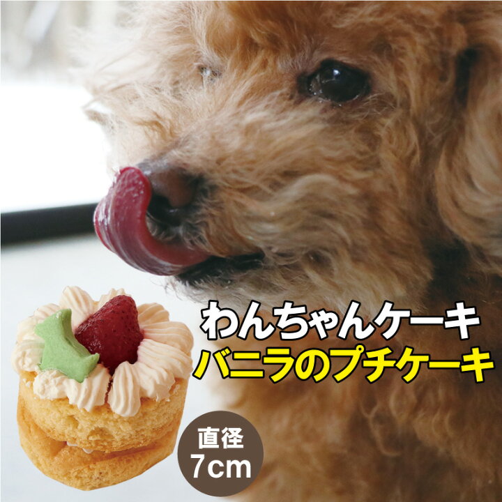 楽天市場 犬用 ケーキ 期間限定 全品ポイント10倍 犬 おやつ 無添加 ケーキ バニラのプチケーキ 国産 犬用おやつ 犬用ケーキ ペットケーキ ドッグフード ペットフード ドックフード 手作りケーキ 犬用 ペット おいしい おやつ 記念日 誕生日ケーキ Dogdelifactory