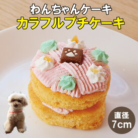 犬用 ケーキ 小型犬食べきりサイズ カラフルケーキ【国産】ドッグデリファクトリー 犬用おやつ 犬用ケーキ 手作りケーキ 記念日 誕生日ケーキ