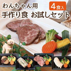 犬 手作り食 お試しセット【4食入り】ドッグデリファクトリー 無添加 国産 犬用手作り食 わんちゃん ごちそうセット ドッグフード ペットフード ドックフード ギフト 誕生日 記念日 愛犬用 【送料無料】