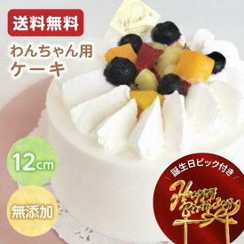 犬用 ケーキ 4号 手作りフルーツケーキ 誕生日ピック付き！【送料無料】無添加 冷凍配送 誕生日 記念日 ギフトにも◎｜信州・八ヶ岳の工房からお届け ドッグデリファクトリー｜ペットケーキ バースデーケーキ わんちゃん おやつ ケーキ 犬おやつ ドッグケーキ ペット用ケーキ