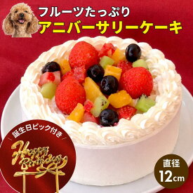 【誕生日ピック無料】犬用 ケーキ フルーツたっぷり アニバーサリーケーキ｜無添加 手作り 冷凍 誕生日 記念日 ギフトに｜ドッグデリファクトリー