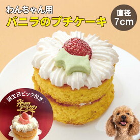 【誕生日ピック無料】犬用 ケーキ バニラのプチケーキ 国産 手作り 冷凍｜ワンちゃんの誕生日 記念日 ギフトにおすすめ｜ドッグデリファクトリー