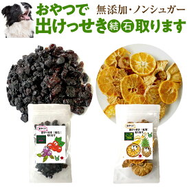 犬・猫用 サプリ(おやつで出けっせき(結石)取ります)無添加【通常便・送料無料】