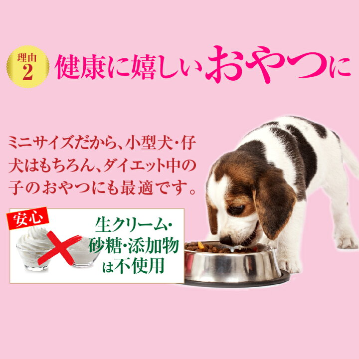 楽天市場 期間限定販売 犬用 バレンタイン チョコ ハートのギフト チョコ ケーキ ヴァレンタイン 犬のご飯とケーキのドッグダイナー