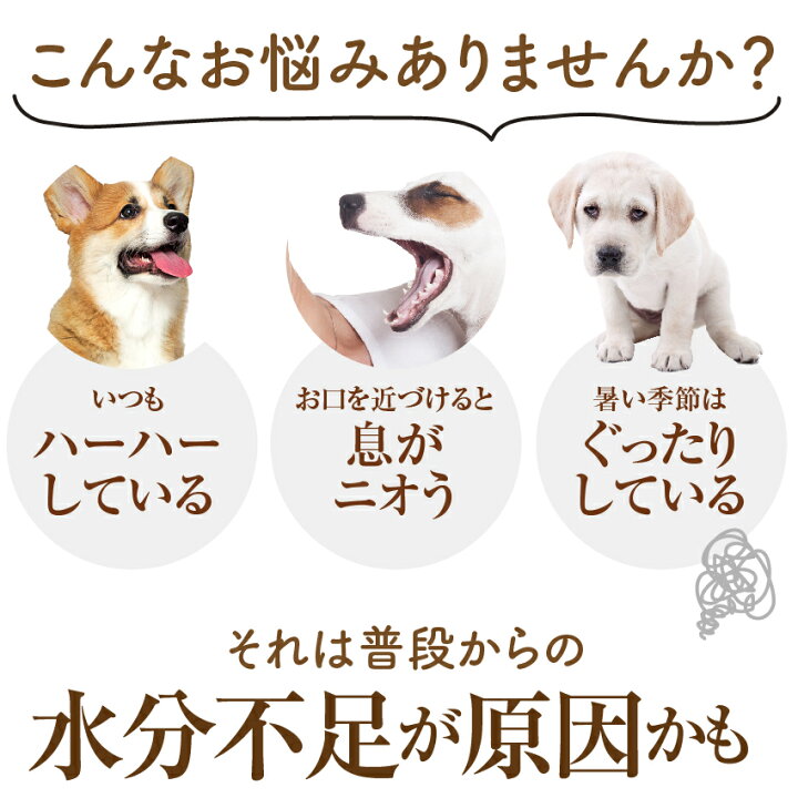 楽天市場 犬 ペット用 飲料 バテない君 1本 無添加 犬用 熱中症対策飲料 スープ クール便 犬のご飯とケーキのドッグダイナー