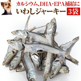 楽天市場 犬おやつ いわしの通販