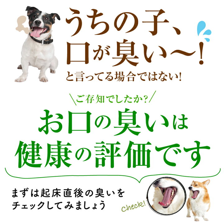 楽天市場 新 獣医も推奨 犬 猫の歯石 歯垢 口の臭いに 食べる歯磨き革命 お試し 歯磨きが苦手な犬用 無添加 サプリ 5g 小型犬 約10日分 犬のご飯とケーキのドッグダイナー