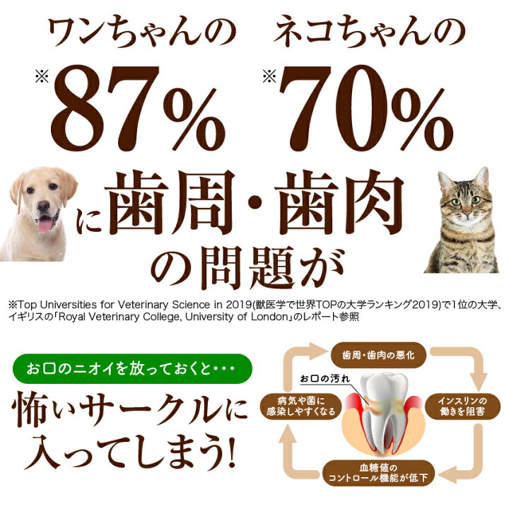 楽天市場 新 獣医推奨 犬 猫 歯石 歯垢 サプリ 食べる 歯磨き 革命 30g 無添加 犬のご飯とケーキのドッグダイナー 楽天市場 新 獣医推奨 犬 猫 歯石 歯垢 サプリ 食べる 歯磨き 革命 30g 無添加 犬のご飯とケーキのドッグダイナー
