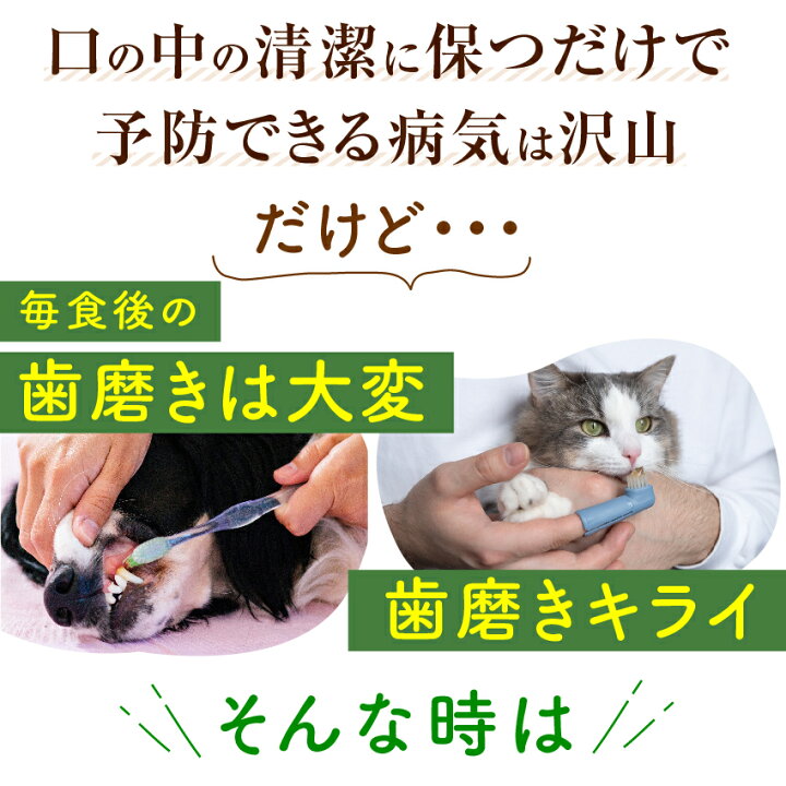 楽天市場 新 獣医推奨 犬 猫 歯石 歯垢 サプリ 食べる 歯磨き 革命 30g 無添加 犬のご飯とケーキのドッグダイナー 楽天市場 新 獣医推奨 犬 猫 歯石 歯垢 サプリ 食べる 歯磨き 革命 30g 無添加 犬のご飯とケーキのドッグダイナー