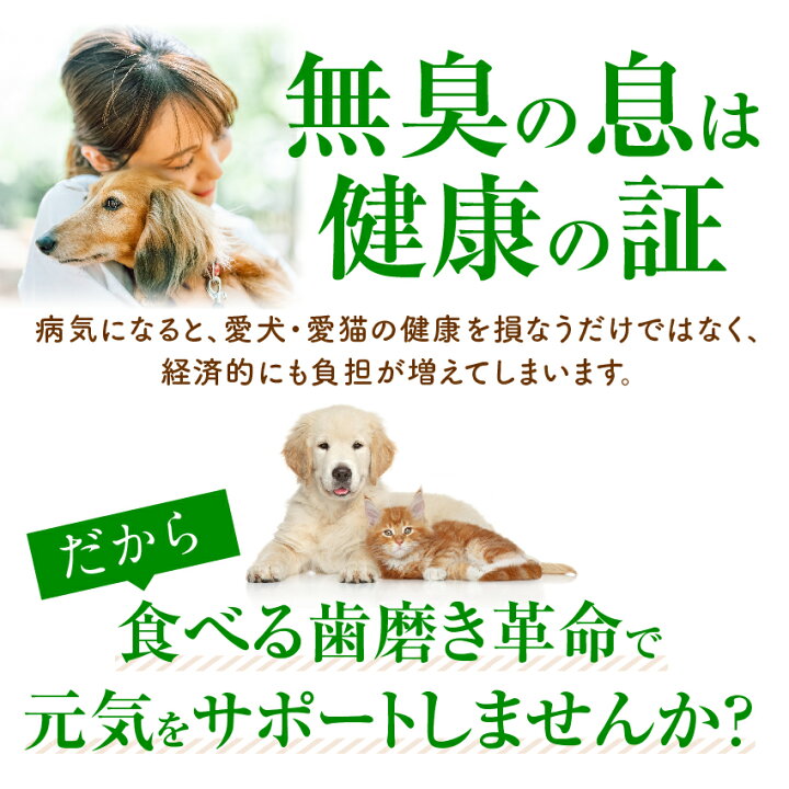 楽天市場 新 獣医推奨 犬 猫 歯石 歯垢 サプリ 食べる 歯磨き 革命 30g 無添加 犬のご飯とケーキのドッグダイナー