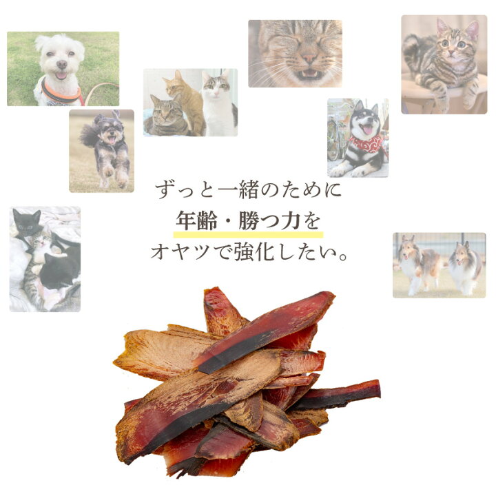 楽天市場】犬・おやつ(魚 ジャーキー かつお 3袋)無添加 国産 鰹の減塩 
