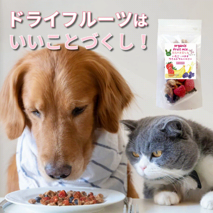 楽天市場】犬・猫・ペット用 (ドライフルーツ ミックス 1袋)無添加