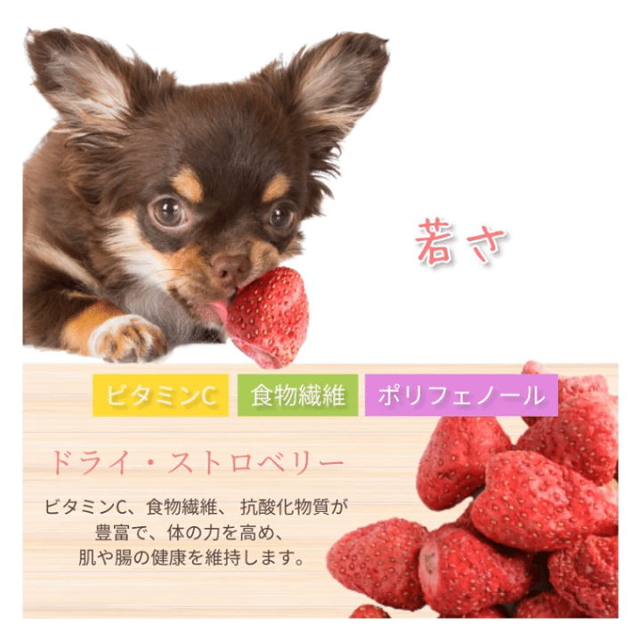 楽天市場】【無添加・有機】犬・猫・ペット用 (ドライフルーツ