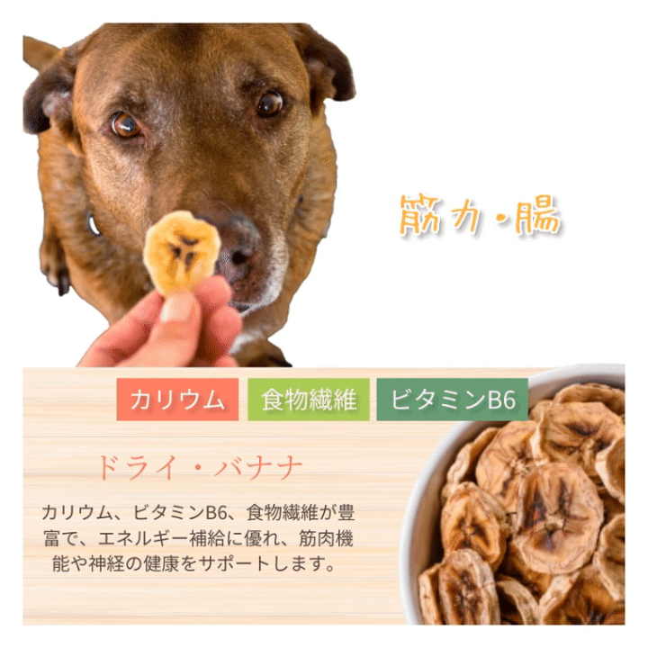 楽天市場】【無添加・有機】犬・猫・ペット用 (ドライフルーツ