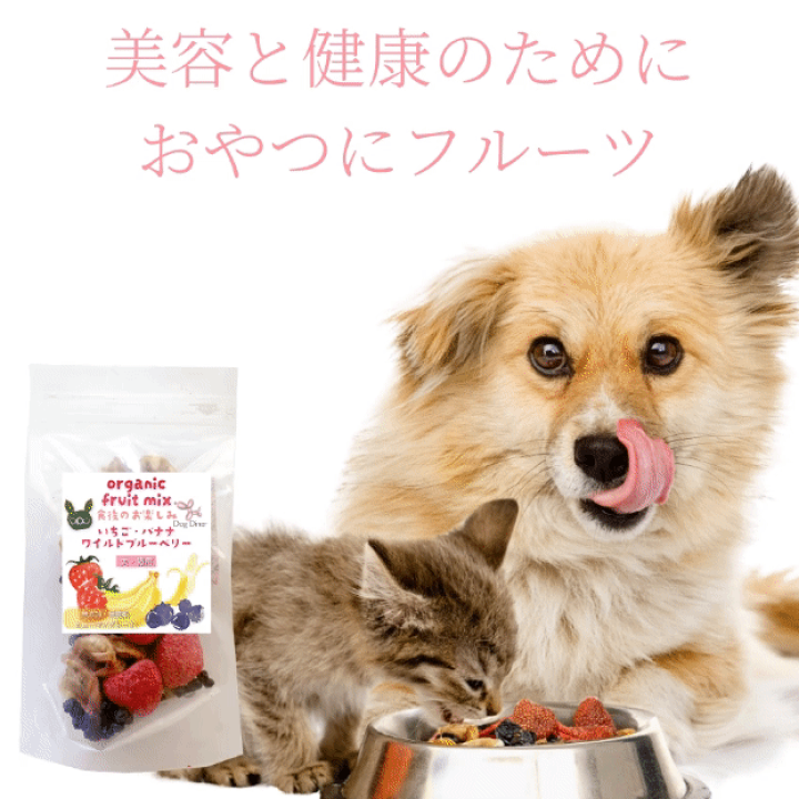 楽天市場】【無添加・有機】犬・猫・ペット用 (ドライフルーツ