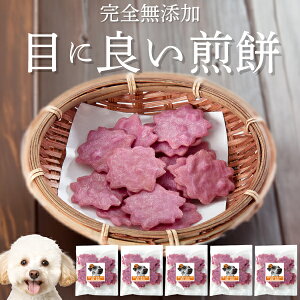 yyVX[p[SALE 10%OFFz  (ڂɗǂׂ 5)ځEE Y Y L@ VR  J[̌p  ܏ẴPA AgVAjLxȎ̌