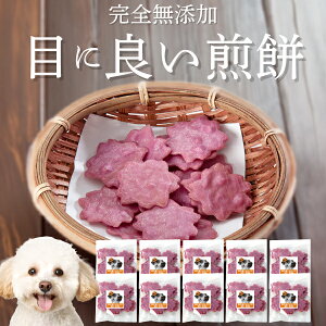 yyVX[p[SALE 10%OFFz  (ڂɗǂׂ 10)ځEE Y Y L@ VR  J[̌p  ܏ẴPA AgVAjLxȎ̌