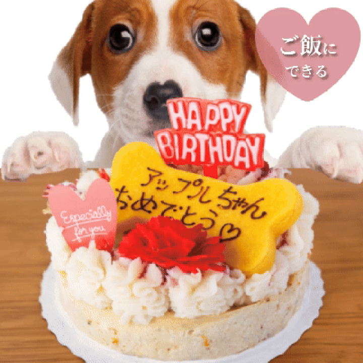 リヤドロ　バースデーケーキ　お誕生日会　家族　姉妹　ファミリー　犬 リヤドロ バースデーケーキ お誕生日会 家族 姉妹 ファミリー 犬