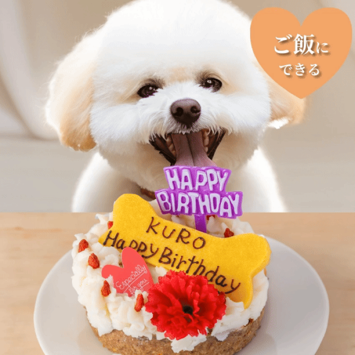 楽天市場】【名入れ メッセージ入れ可】犬 ケーキ 犬用 誕生日ケーキ