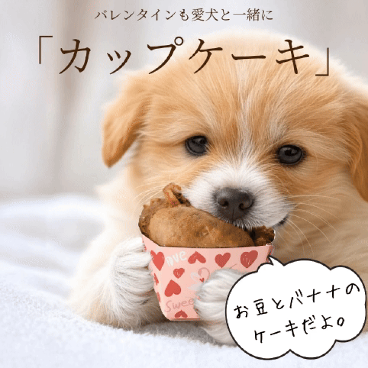楽天市場】【犬用 バレンタイン】無添加・国産(犬 カップ ケーキ 3個