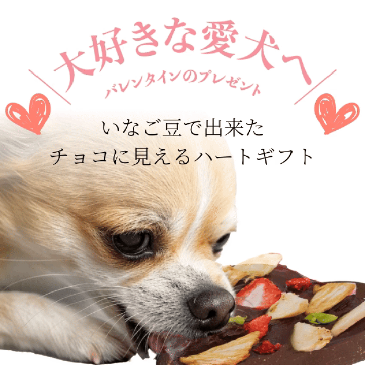 楽天市場】【期間限定】犬用 バレンタイン チョコ(ハートのギフト