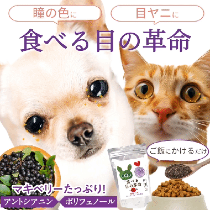 楽天市場】食べる目の革命 30g 犬猫用瞳ケアの粉末サプリ マキベリーと