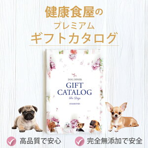 p J^OMtg _C  hbOt[h v~AMtg Y Y IׂOMtg  Tvg 蕨 av[g j j 