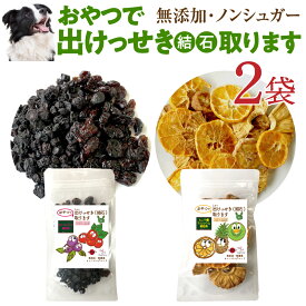 犬 結石 おやつ 無添加(おやつで出けっせき(結石)取ります2袋)腎臓ケア・尿pHバランス調整 猫もOK サプリのようなオヤツで尿路の健康をサポート ストルバイト・シュウ酸カルシウム結石