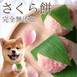 p  Y ЂȍՂ P[L( 2)aَq  育 Oet[ P[L