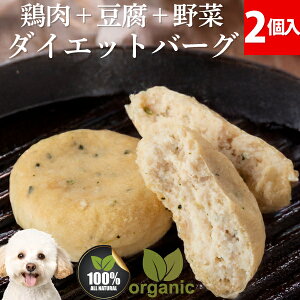 pno[O Y  Y ᎉb J[(_CGbg no[O 2 ) ^pN wV[   育 gbsOɂœK