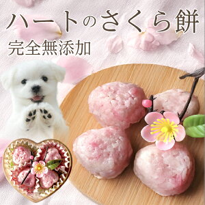 p  Y ЂȍՂ P[L(n[g  )aَq  育 Oet[ P[L